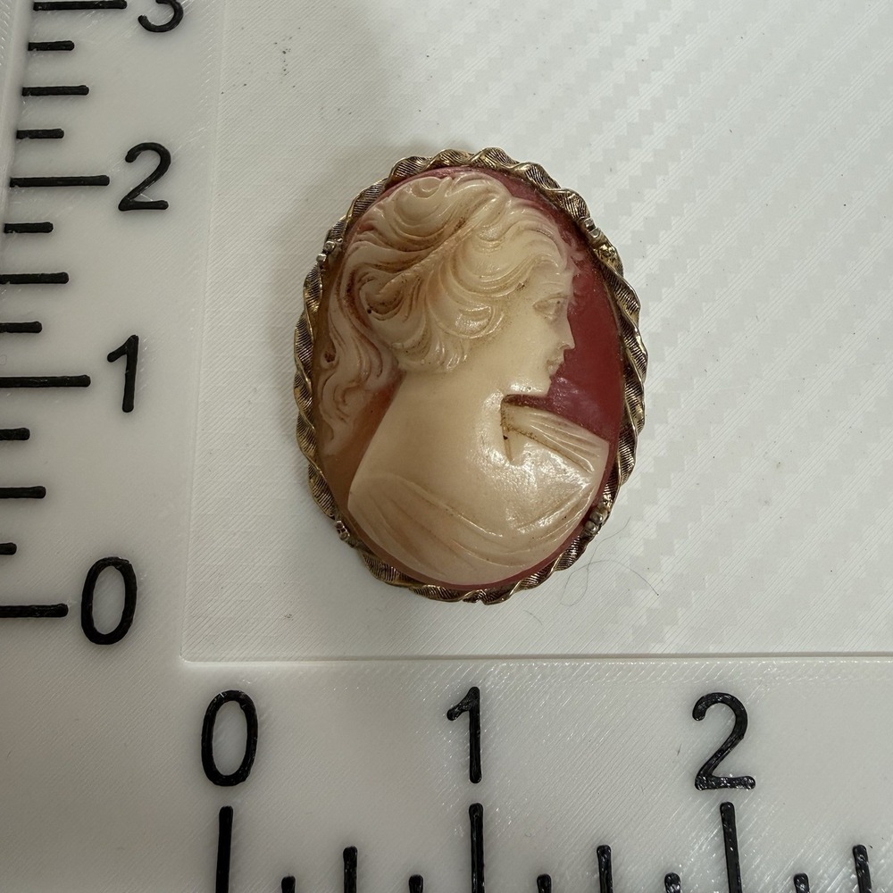 Vintage Cameo Brooch Gold Tone Oval Carved Relief Pin 1.5" Classic Style